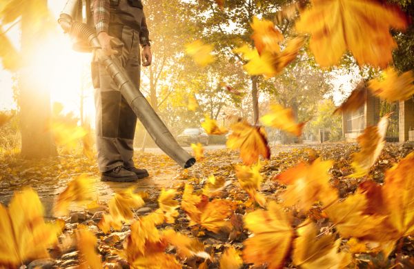 Leaf Blowing Service in Warrenton