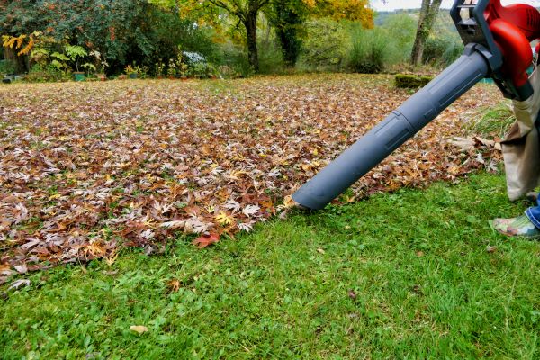 Leaf Vacuuming Service in Warrenton