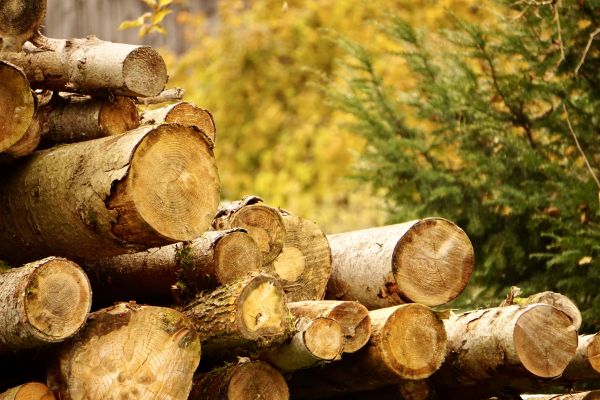 Wood Pile Removal in Warrenton