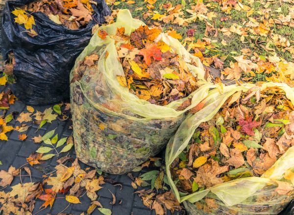 Yard Cleanup Service in Warrenton