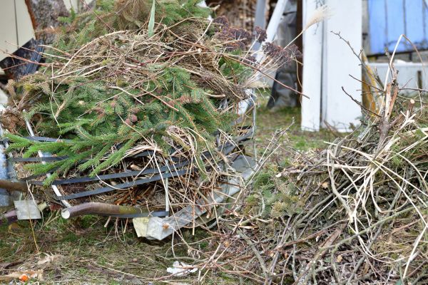 Yard Debris Removal in Warrenton