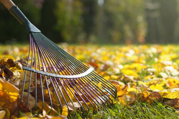 Leaf Raking Service in Warrenton