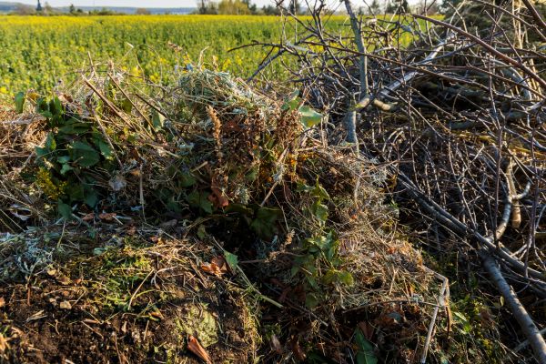 Brush Disposal in Warrenton