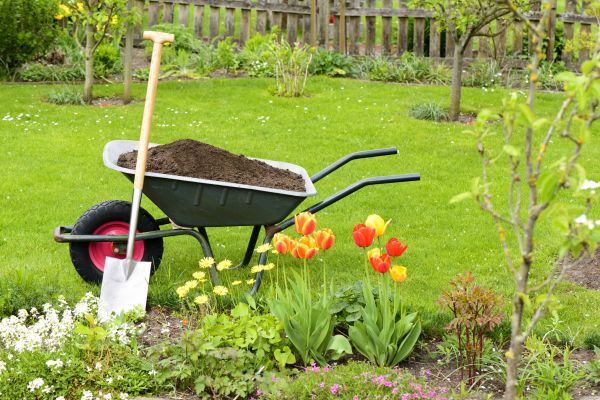 Cost of Spring Yard Cleanup in Warrenton