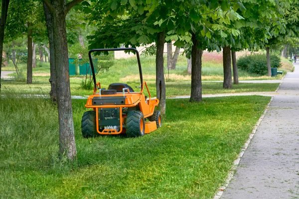 Landscaping Cleanup Service in Warrenton
