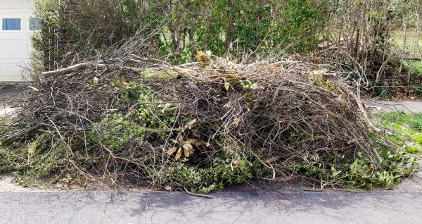 Tree Limb Cleanup in Warrenton