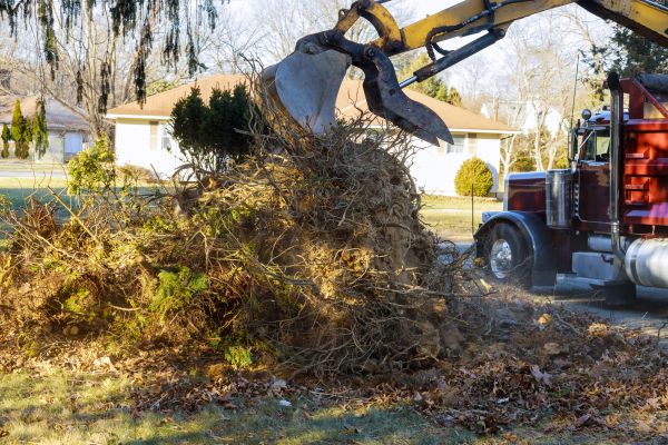 Storm Debris Removal in Warrenton