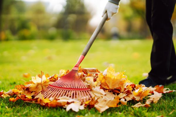 Cost of Ditch Leaf Removal in Warrenton