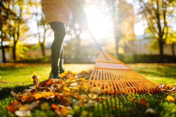 Leaves Raking in Warrenton