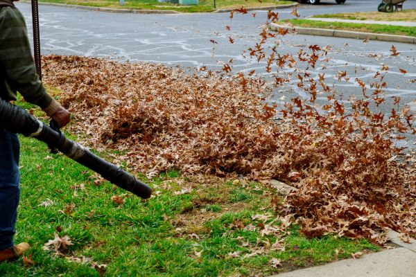 Cost of Garden Leaf Removal in Warrenton