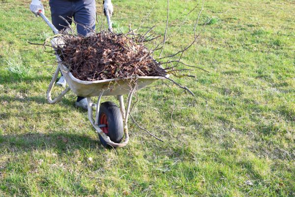Yard Brush Removal in Warrenton