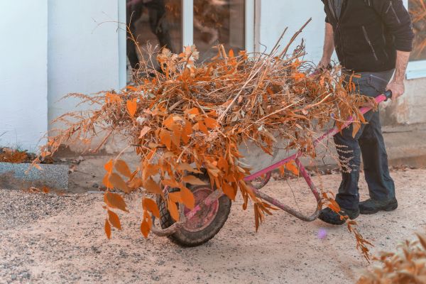 Cost of Lawn Debris Cleanup in Warrenton
