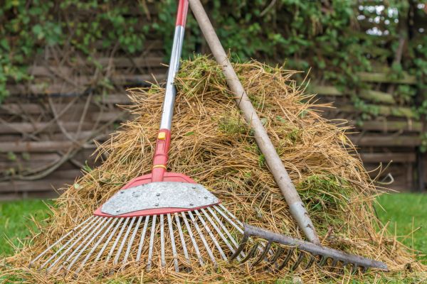 Cost of Pine Straw Clearing in Warrenton