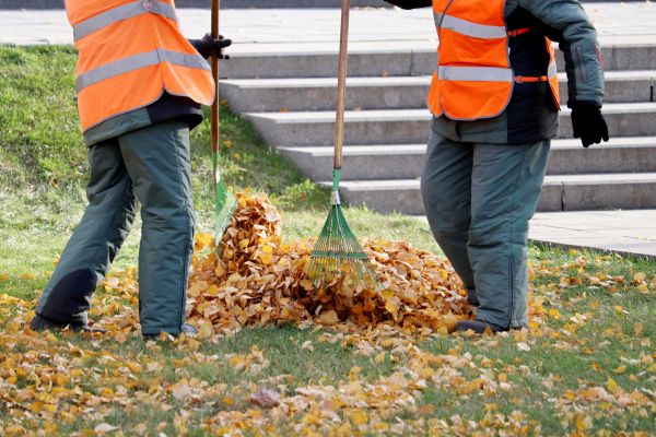 Cost of Leaf Hauling Service in Warrenton