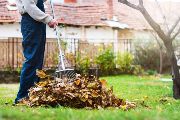 Spring Lawn Cleanup in Warrenton