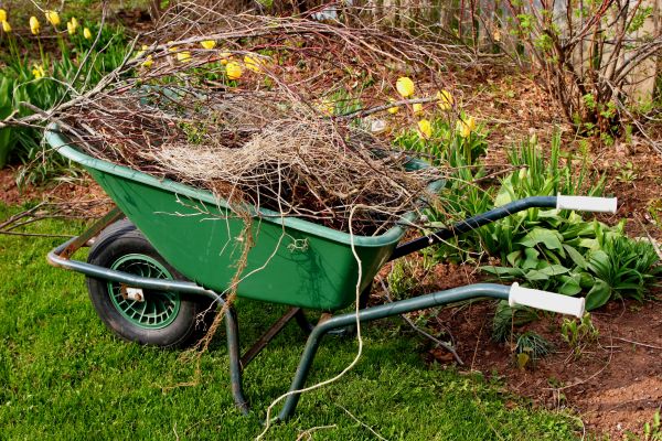 Lawn Waste Removal in Warrenton