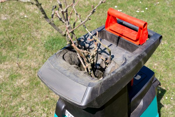 Cost of Brush Cleanup Service in Warrenton