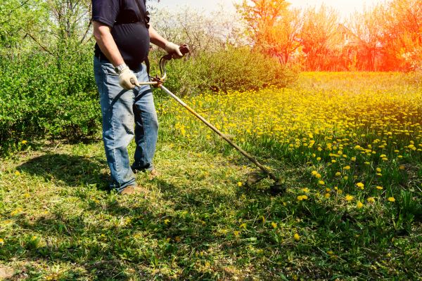 Yard Clearing Service in Warrenton