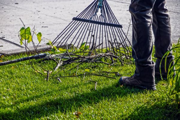 Yard Debris Cleanup in Warrenton