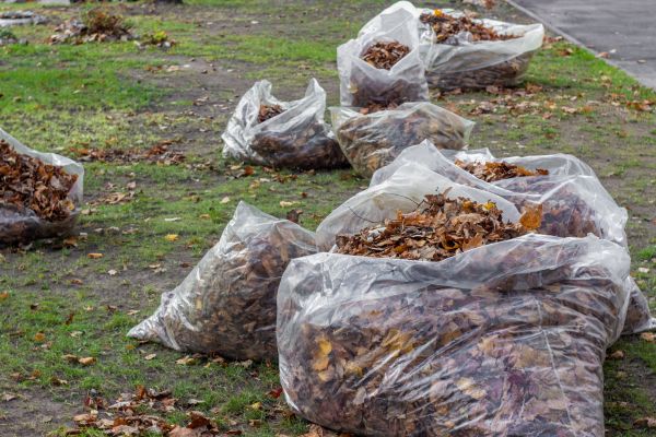 Cost of Leaf Pile Disposal in Warrenton