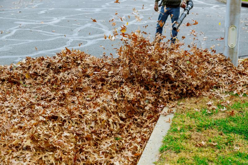 Leaf Removal in Action