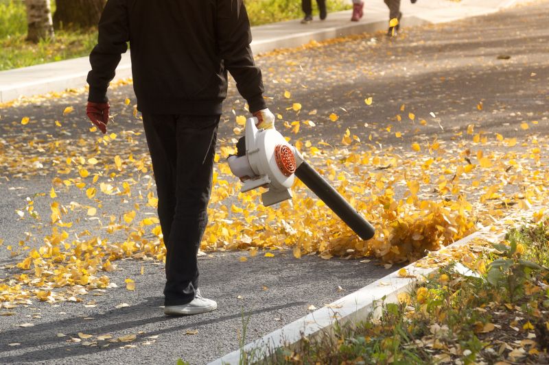 Leaf Blowing for Cleanup