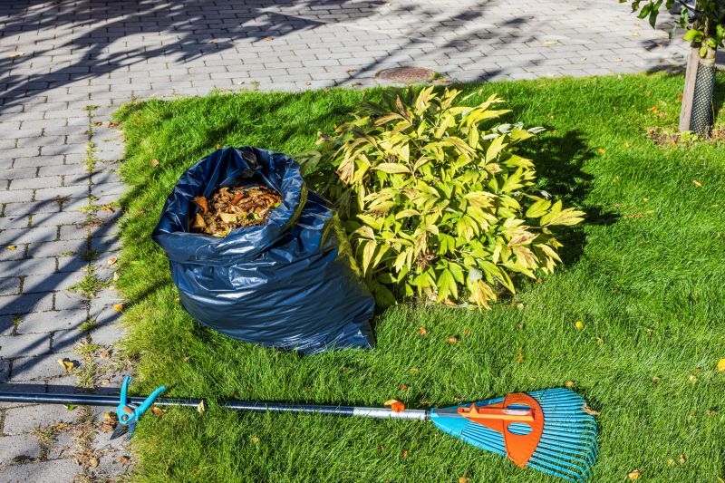 Post-storm yard maintenance