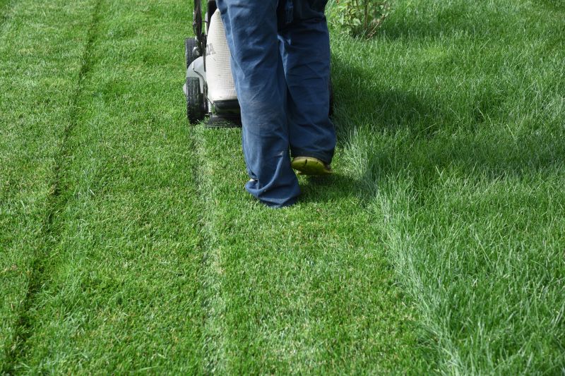 Customized Lawn Maintenance Plans
